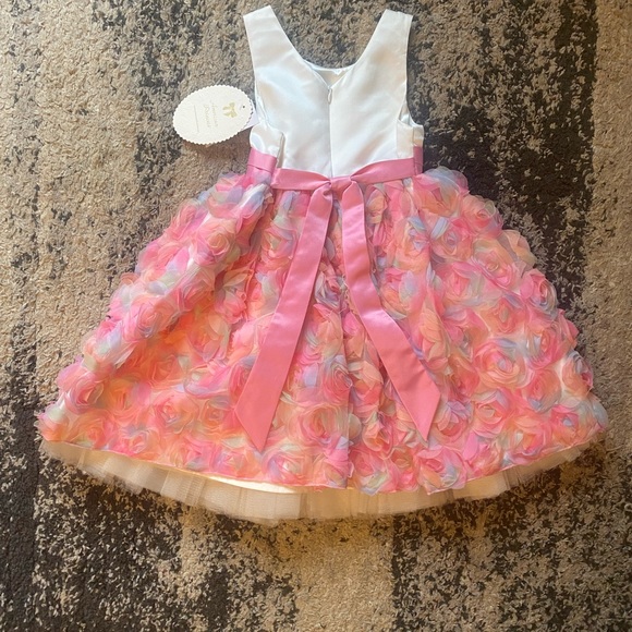 American Princess Multicolor Rosette Kids Dress - Picture 4 of 6